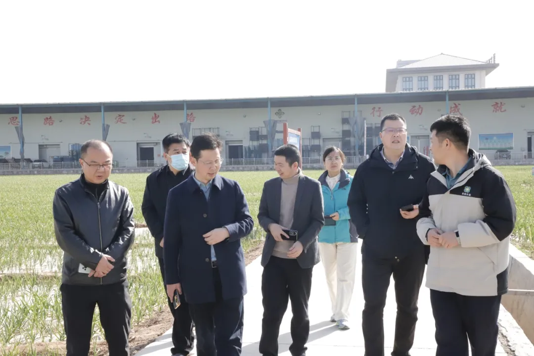 南江县考察组一行到集团调研大蒜品种研发培育工作