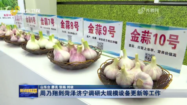 京信集团金蒜系列品种亮相山东卫视新闻联播