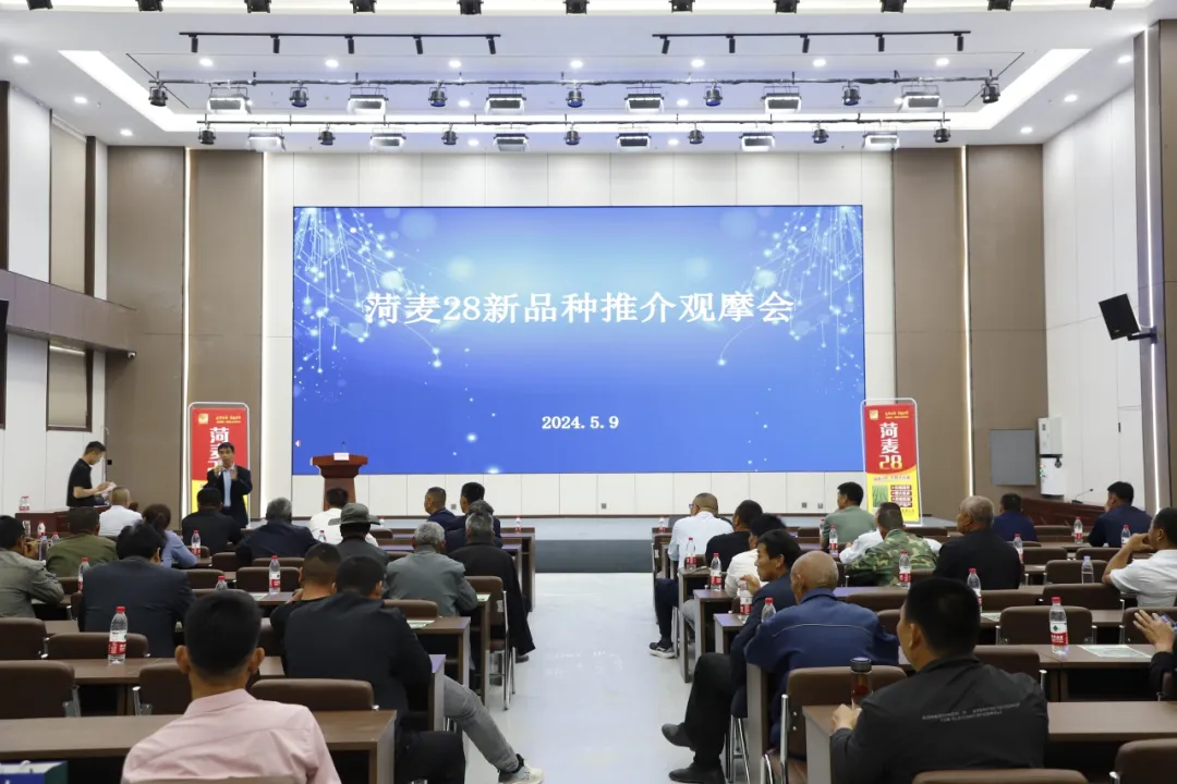 京信农业集团举办小麦高产新品种现场观摩会