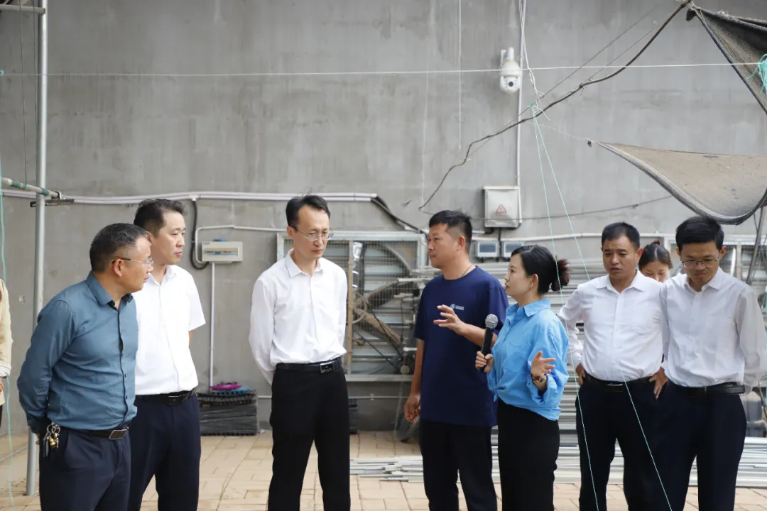 市委办公室副主任、市委机要局局长宫凯到京信集团考察调研育种工作