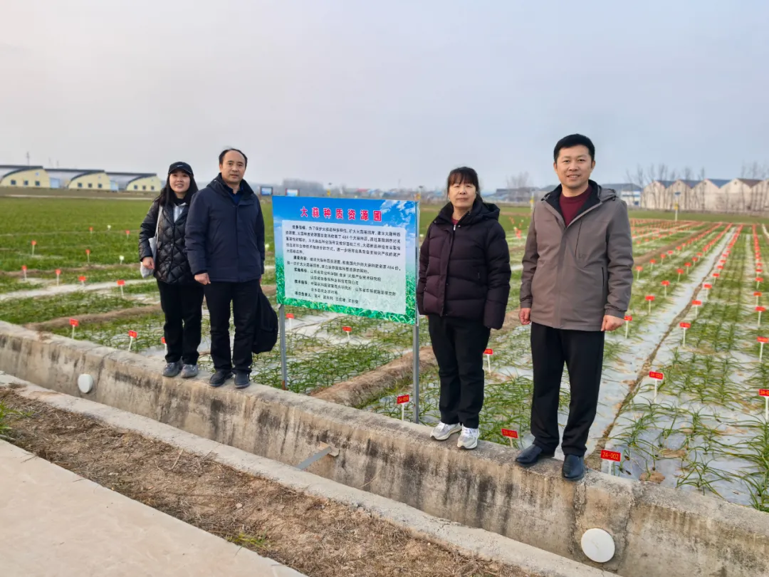 中国农科院、山东科技大学专家分别到京信集团调研并洽谈合作