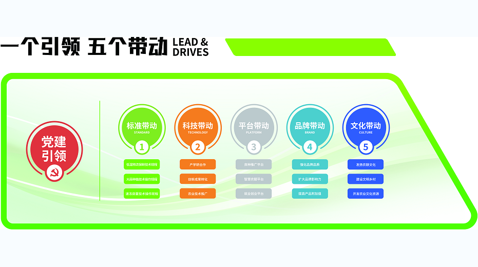 山东育种推动农业现代化的战略与成效分析