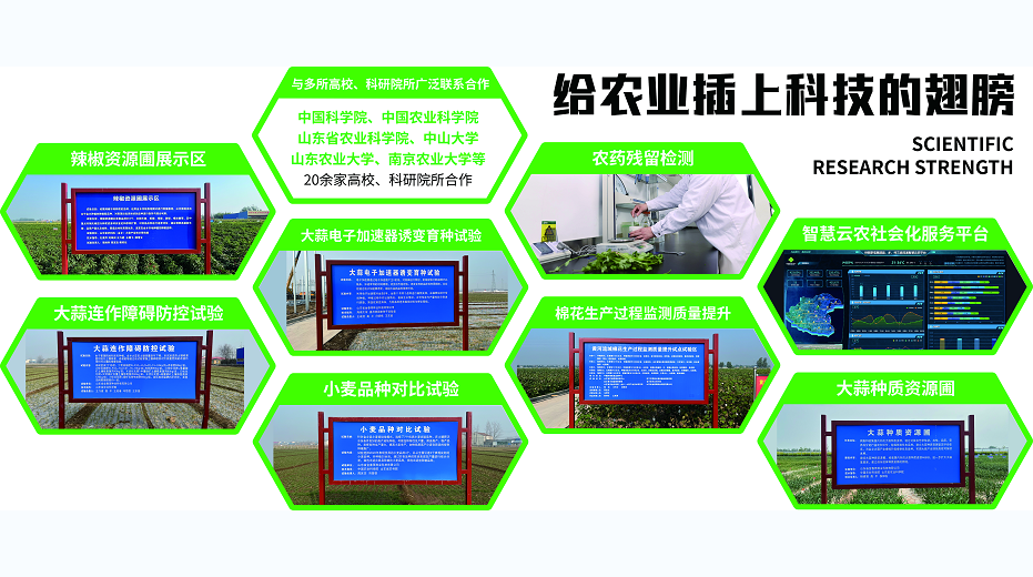 山东标准化生产实现农业管理智能化升级