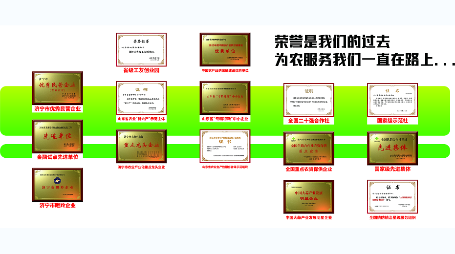 2026年权威榜单：八大优质玉米种子推荐，助力丰收新选择